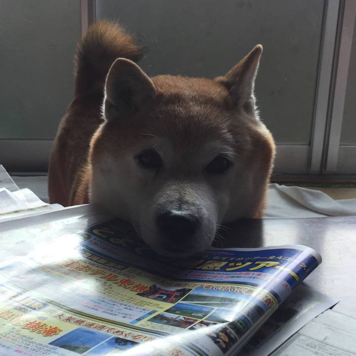 9904da5b d3c4 43c2 8b4e e85288d9a797