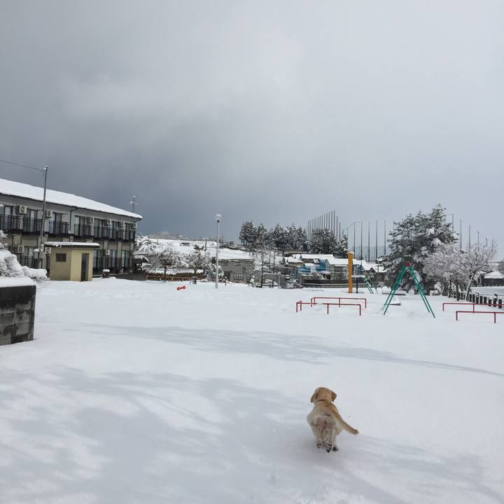 9904e4c8 d195 4286 8d17 94ed388f8e57