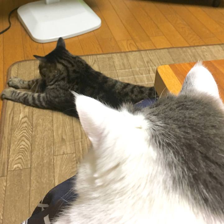 99054b6d 979e 4062 907f 4d201afb2ab5