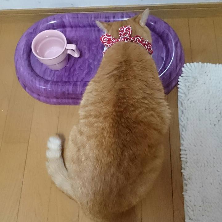 99054ea3 a321 4406 8714 ccbfcb9bee6b