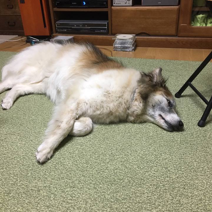 99057d1b 8f43 4a00 91a0 4777ce51af38