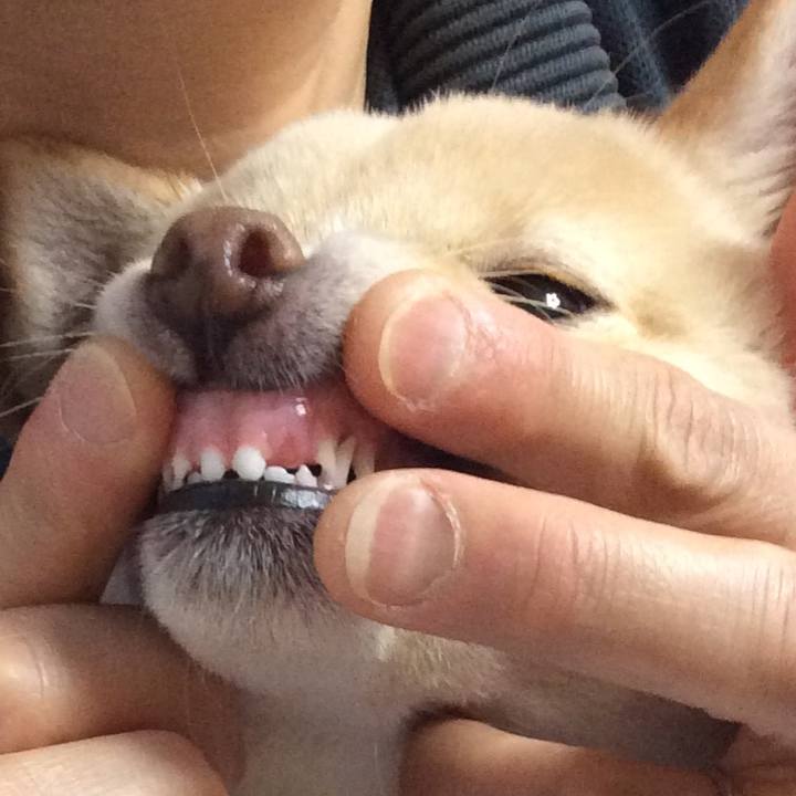 99060299 376a 4bde 9d0c 6a812d0c825a