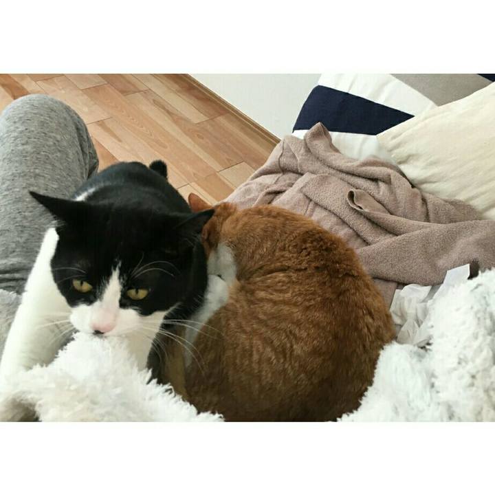 9907a42b 2a7a 4ac1 bd69 eb28cbebe58a