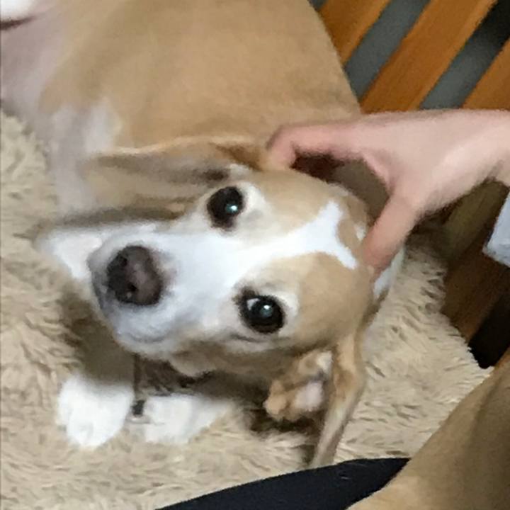 9907c427 2600 454e b776 1e2f7c339a9d