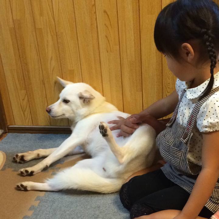 99081dde 7ad0 4bde 80cb 31463cb2e442