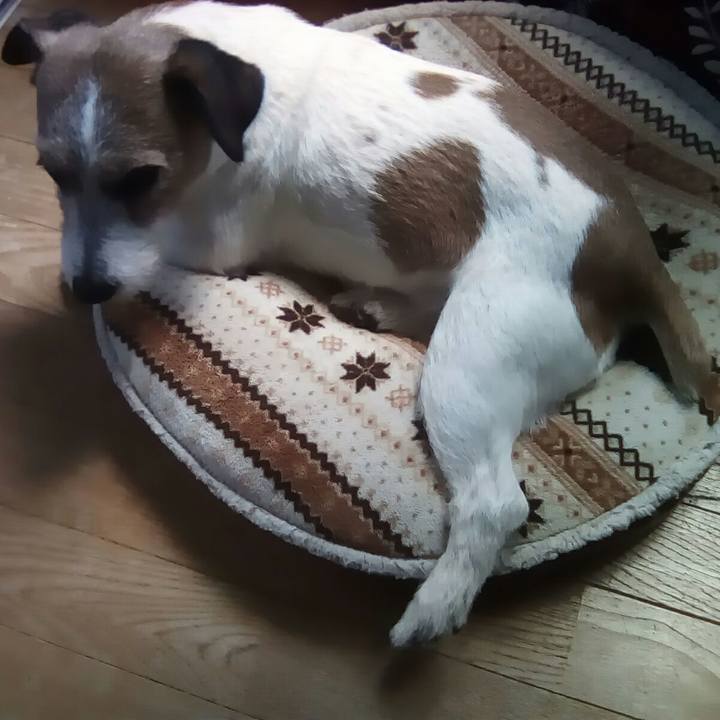 99083d6a e82d 4b80 8dfc cc32ea74310f