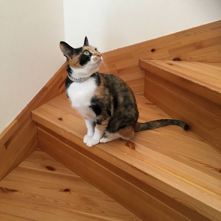 9908ec09 cd22 4ac5 8287 c4642a84fcf8