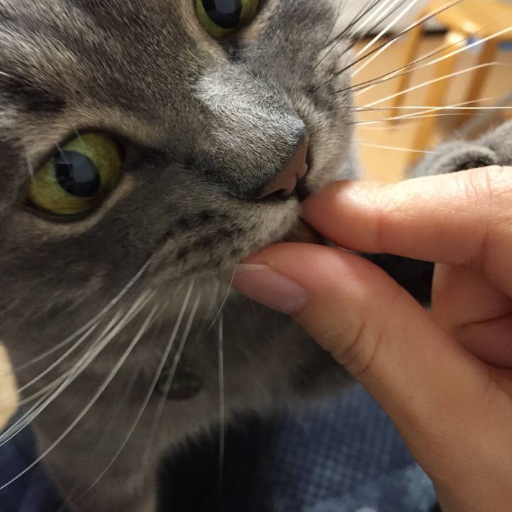 99090cfd be73 45a1 8779 f93a3fdb7cac