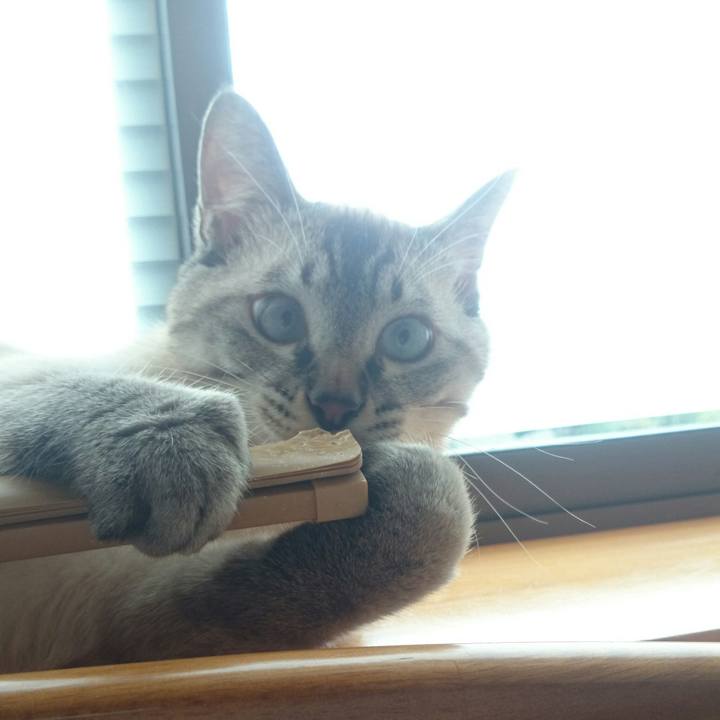 990932f4 7662 4bc7 8810 e3fcbc6f1be6