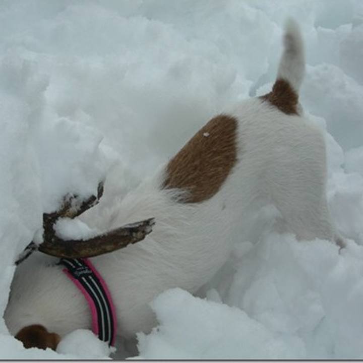 990953ee 925f 4de9 8825 c9d6e08c4320