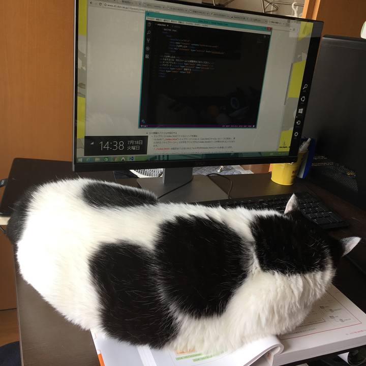 99095b5b af82 4be1 9655 93d3f7c40475