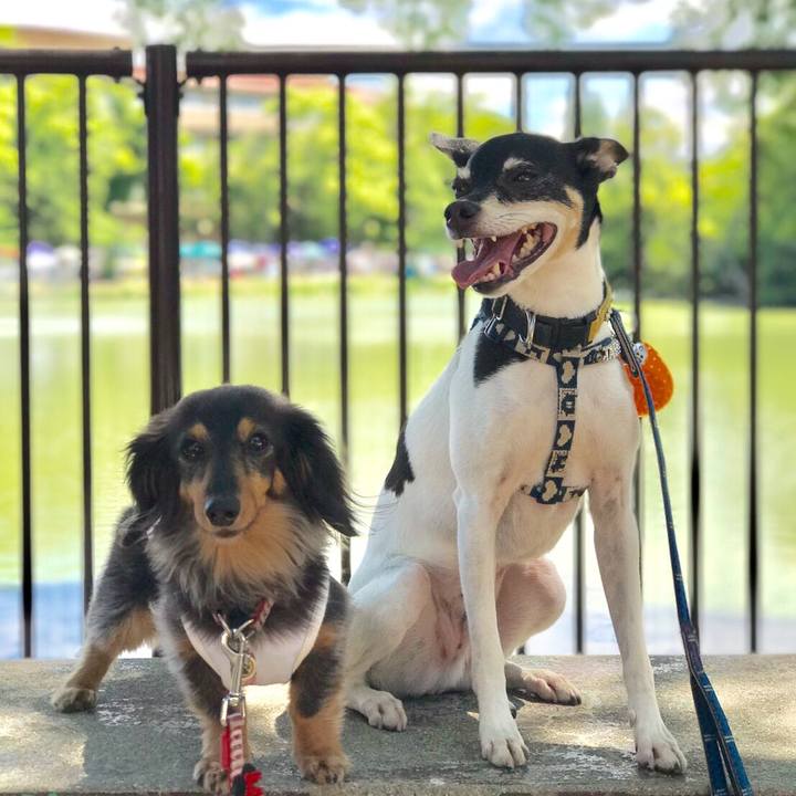 9909773f 77fa 4ce3 8014 c0032f834aa3