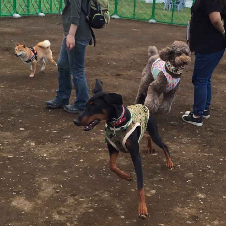 9909ce71 65e9 41c5 8345 2548ae8087d6