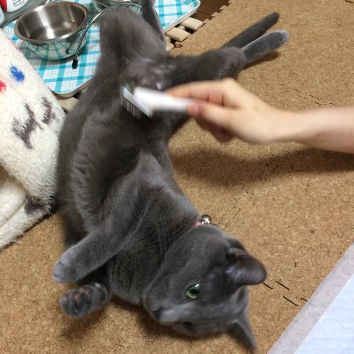 990a63d5 553b 4321 b536 a618d6aaf402