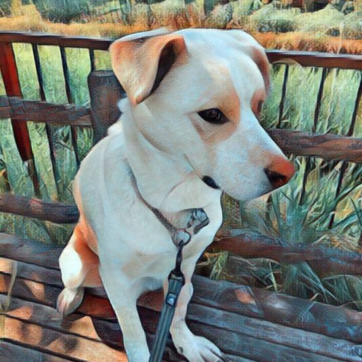 990a71cb 3b73 4b55 b37d 92bc91f30e02