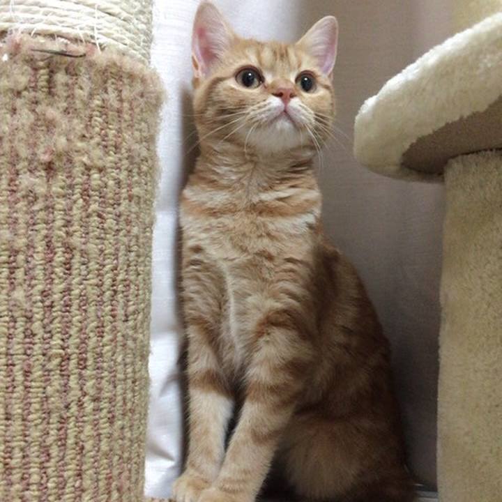 990a999f 4cc5 4a9d a31b 3a6be7bd722b