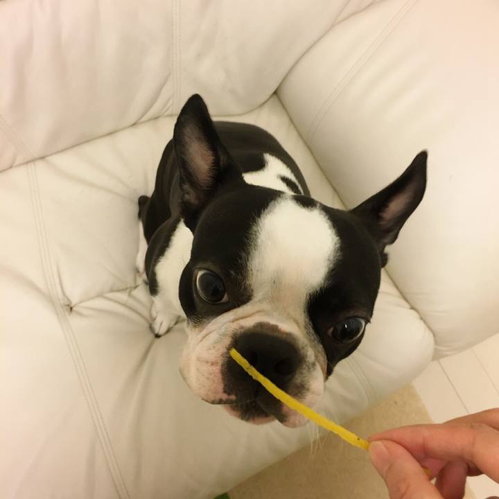 990aadda 9378 4625 b511 3e48a19bd703