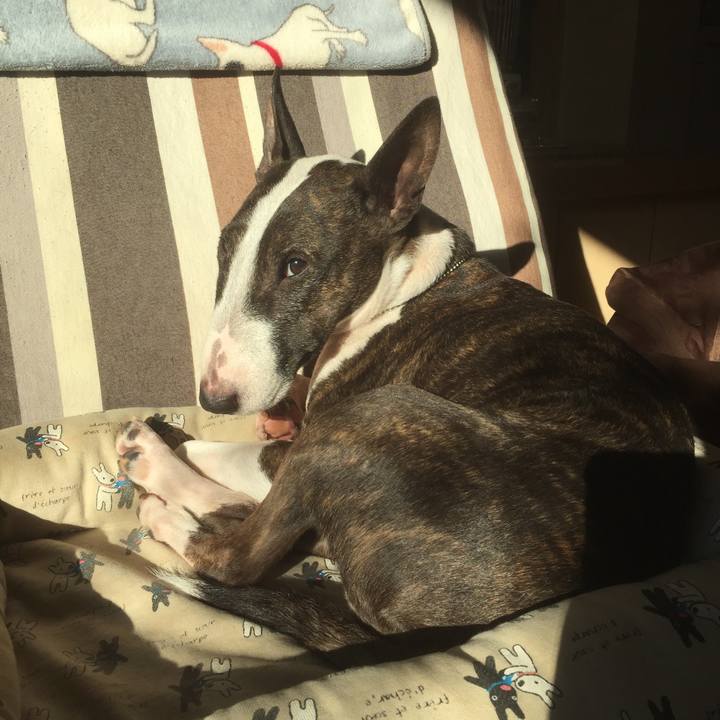 990ac01d d70f 4c60 b415 c24f1803547f