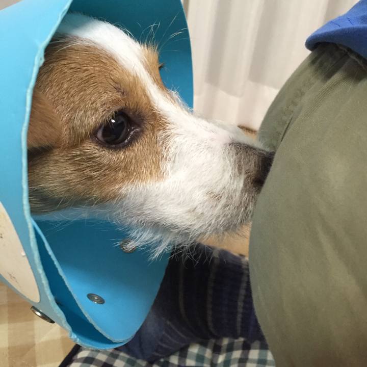 990b5341 fd81 4014 b33e ecbce566e39a