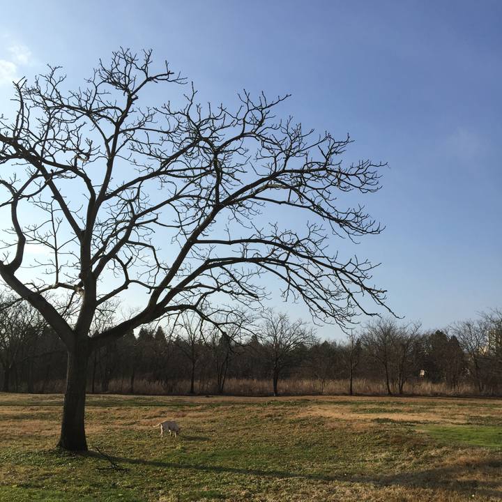 990bd599 8315 449d 88dc 0f955fb29583