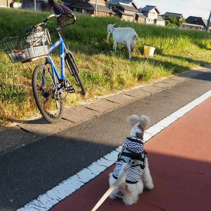 990bf55f 41f7 4449 b06e d50b0ace4288