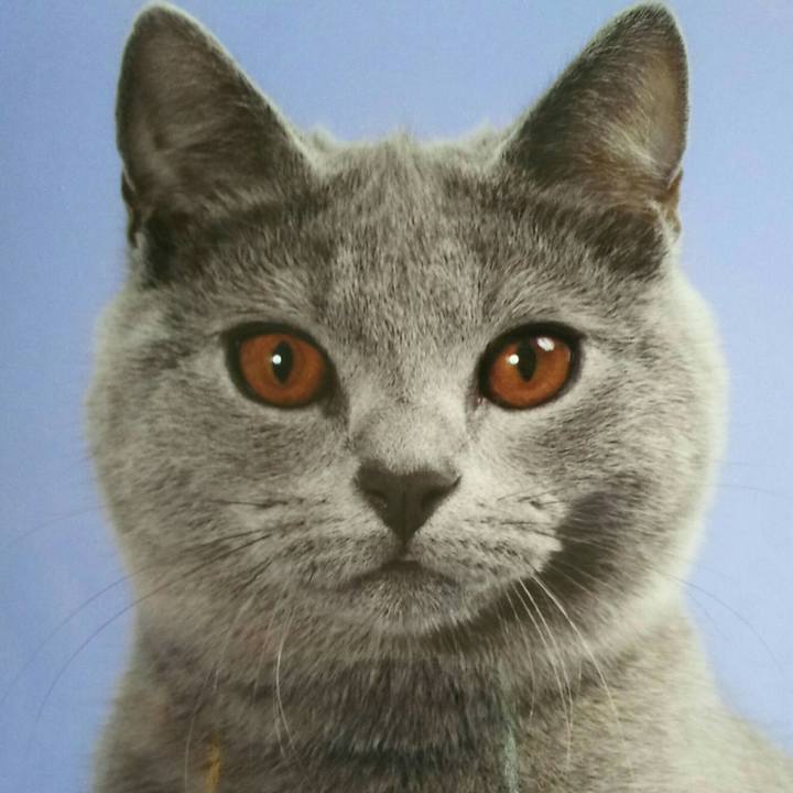 990d5506 f0ca 4ae5 a59c 631e524bc04a