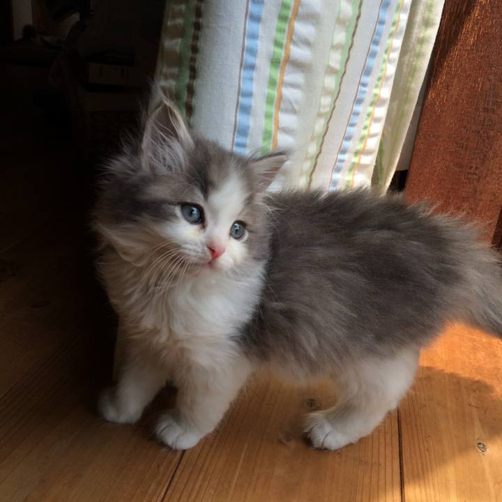 990da662 027b 4584 9896 da9281d36f55