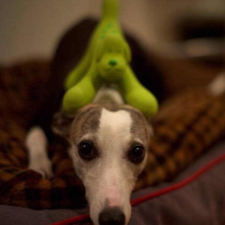 990dc121 acae 4206 9fce 55ef50f8749d