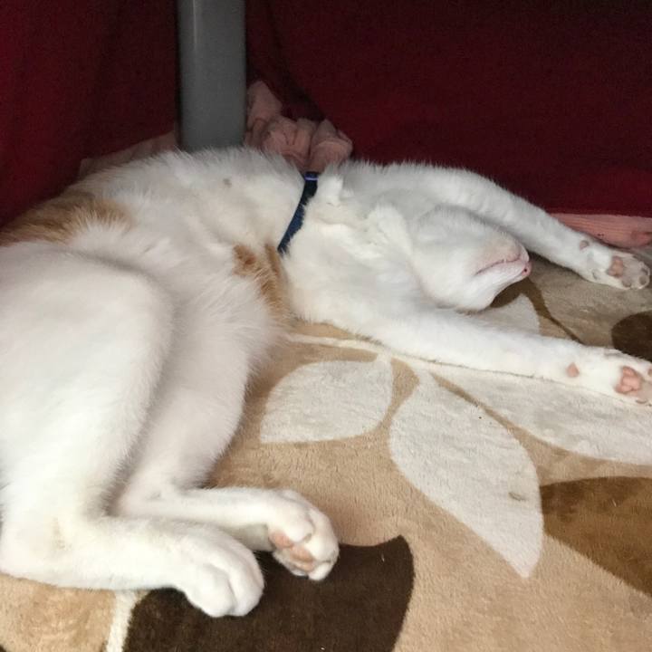 990e5dc5 c172 4c17 9f48 09cd4d569310