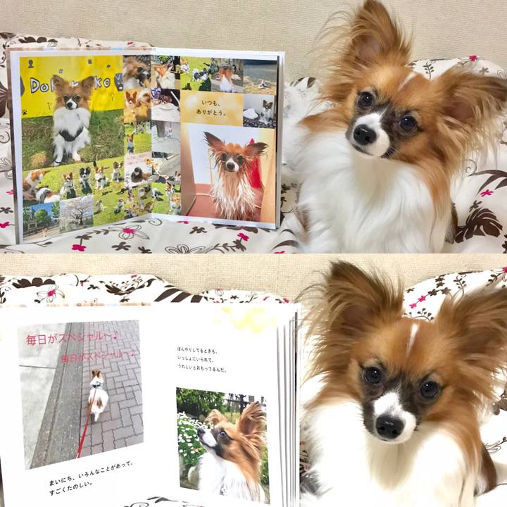 990ecd4d a110 42c8 9557 b0f9bcdaa8e6