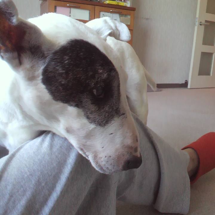 990fbb9c c8d0 4622 9eaf ca84af7af89a