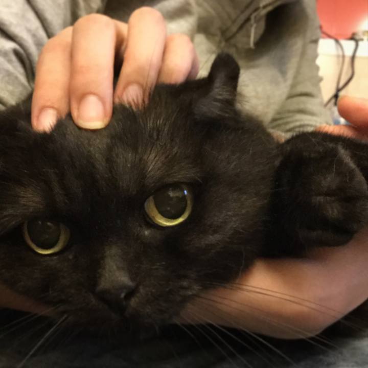 990fc6d4 2bb8 4496 be96 d43f2c6abb93