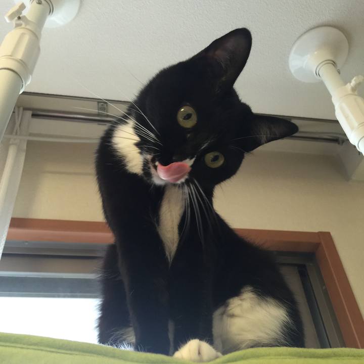 99109e4c 744d 4d4b b9ba 777529392096