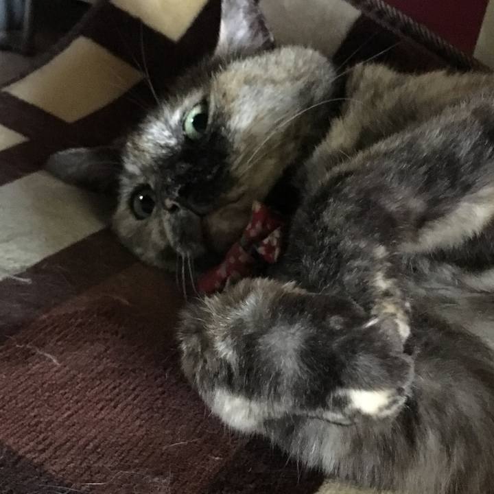 991100e5 448e 4f58 8a75 633a09ad64ef