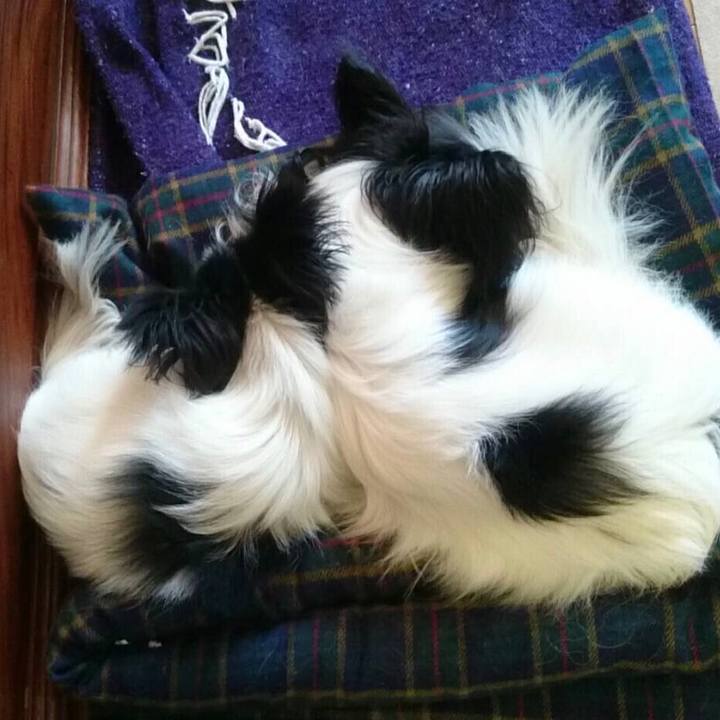 99116fbb e970 4dae 813f 3054aab39f90