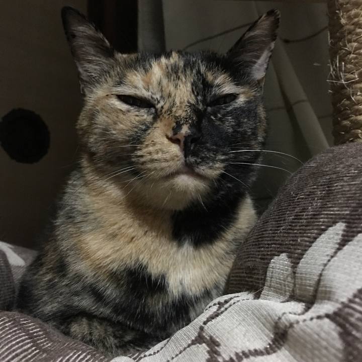 9911c698 841a 4d5b 8b0f ead4ae408073