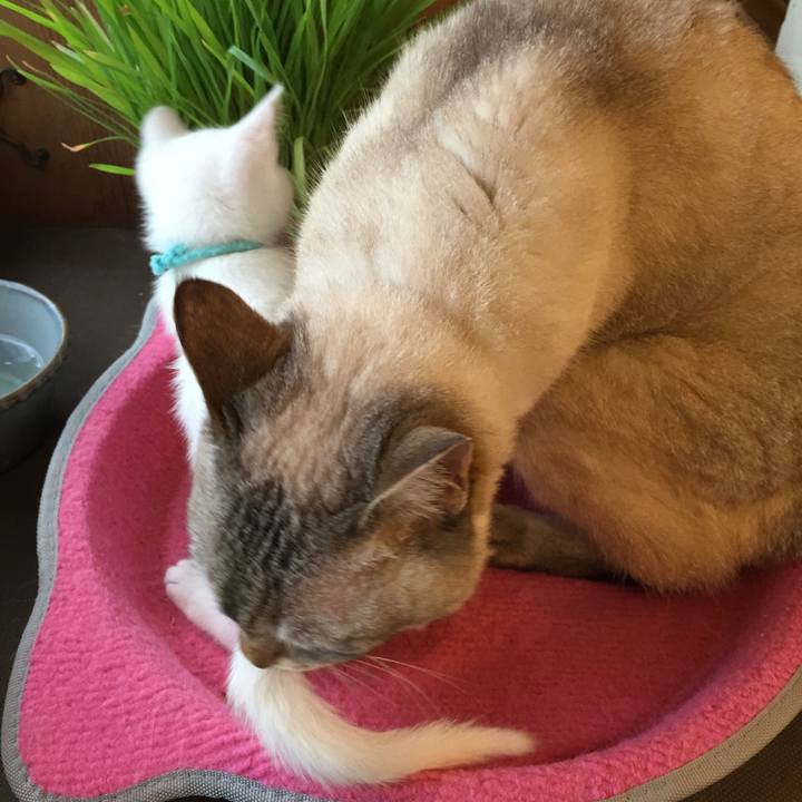 99121f5d 2ee9 4950 9b76 e5ef7e2430be