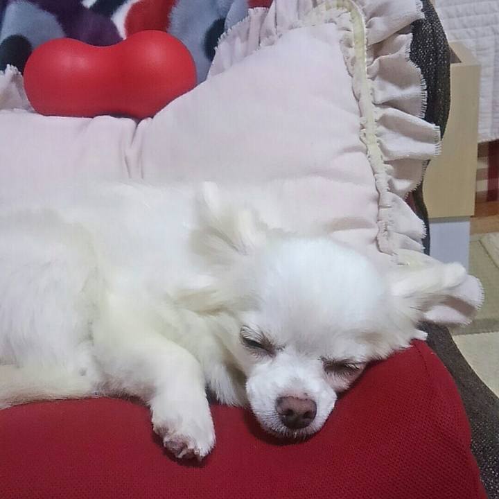 99127e54 e7cf 4f1b a65c 10b0c93081ed