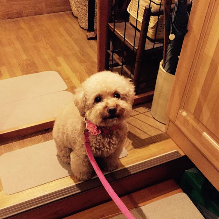 9912e0e4 5c9e 4189 9e38 427569e05b4c