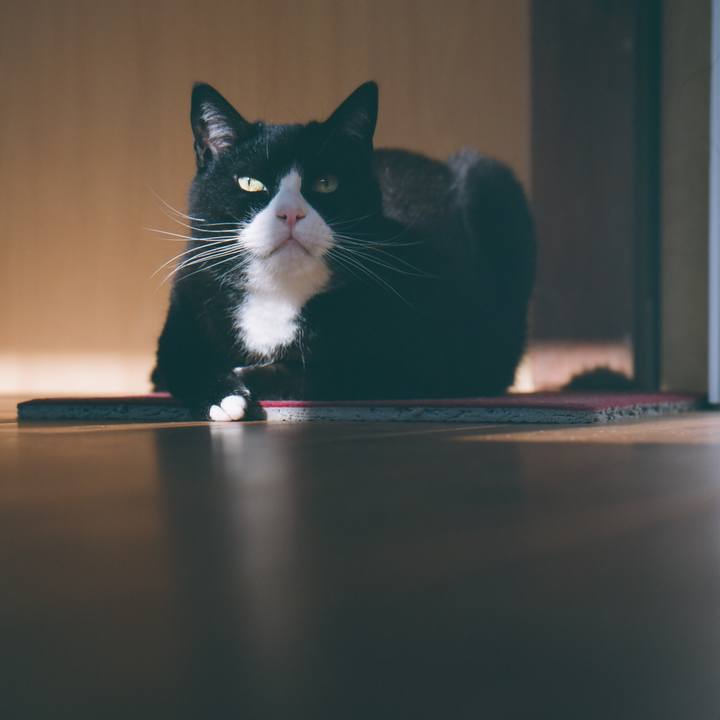 9912e94b ed82 4a84 9abb 180cbde1cc56