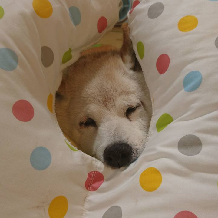 991396d0 6aab 4bd3 8b88 114320d024ba