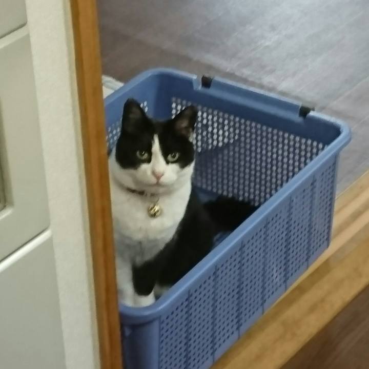 99139846 22db 4743 8001 4960f689cf88