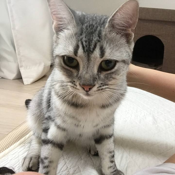 9913dd0a 084d 4438 99ea 2c40047059ca