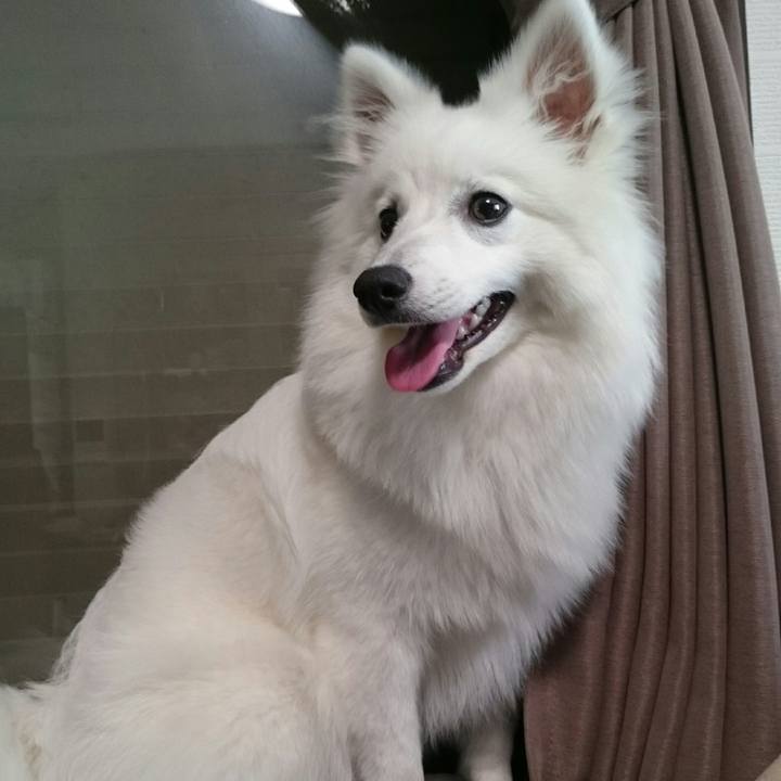 9914f62a dfb3 49f0 a4f4 a31a9bb7d1b1