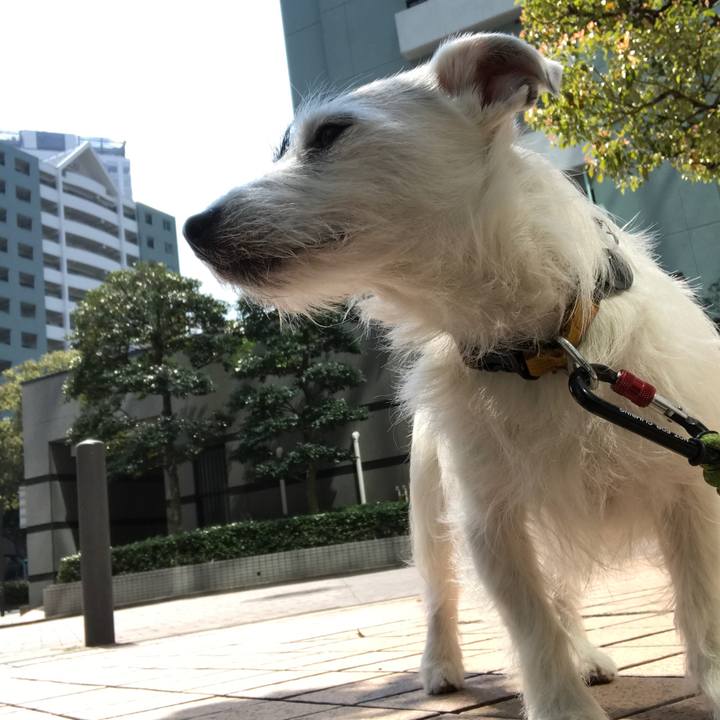 99151ad0 79f0 4549 a4f5 10e30ac34af1