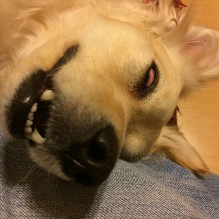 99157866 023b 4ed3 980c 4b3034ca3ca2