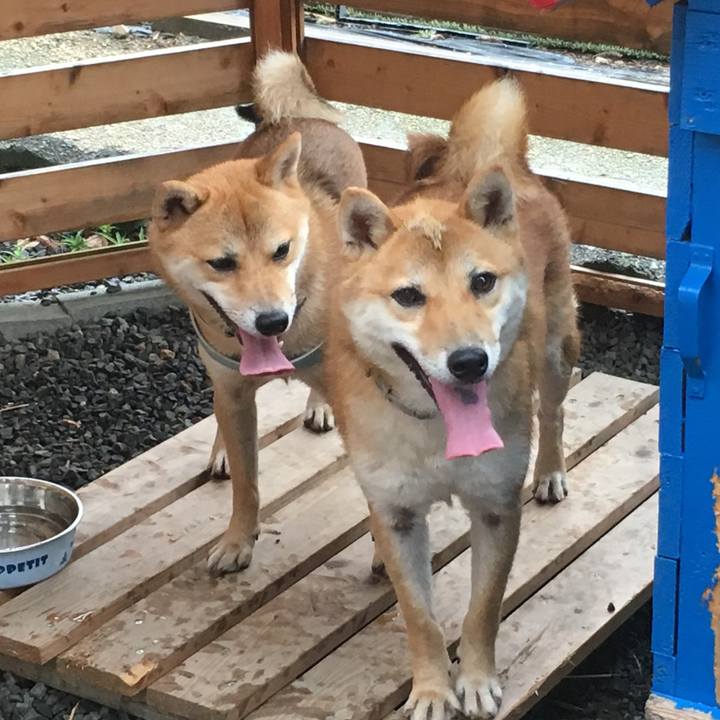 99161710 1b31 45a9 8002 db46a96f1cf5