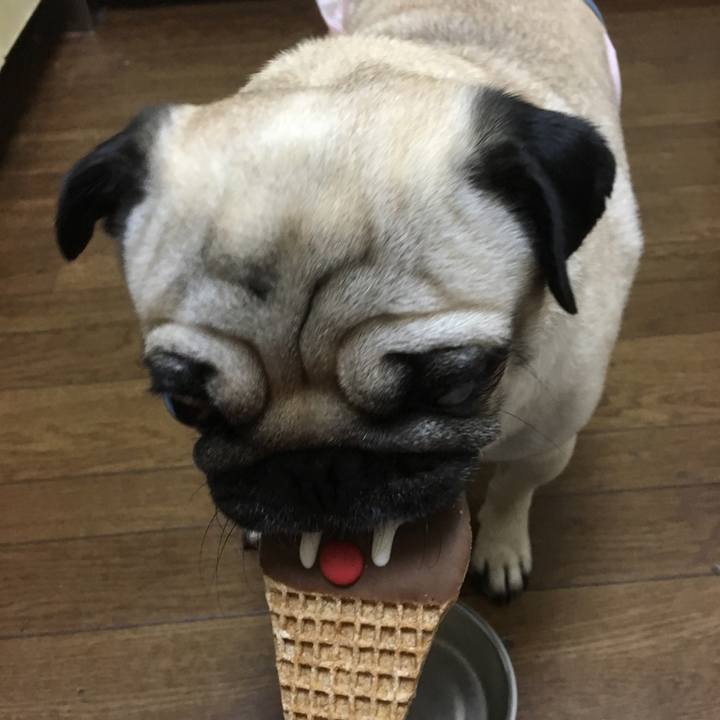 9916232e 5b73 4ee9 848b 4f29f65eb15c