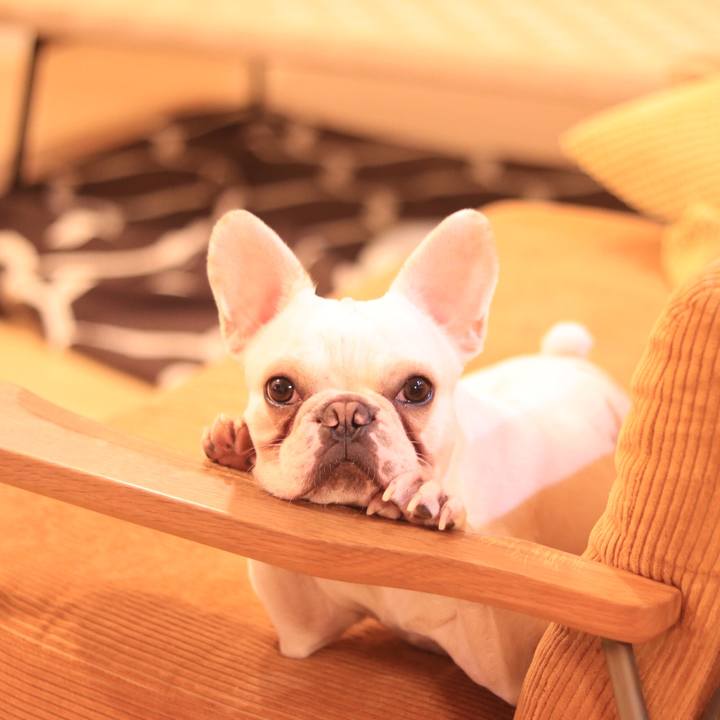 9916490b 8586 4945 9891 edaddeff4b19