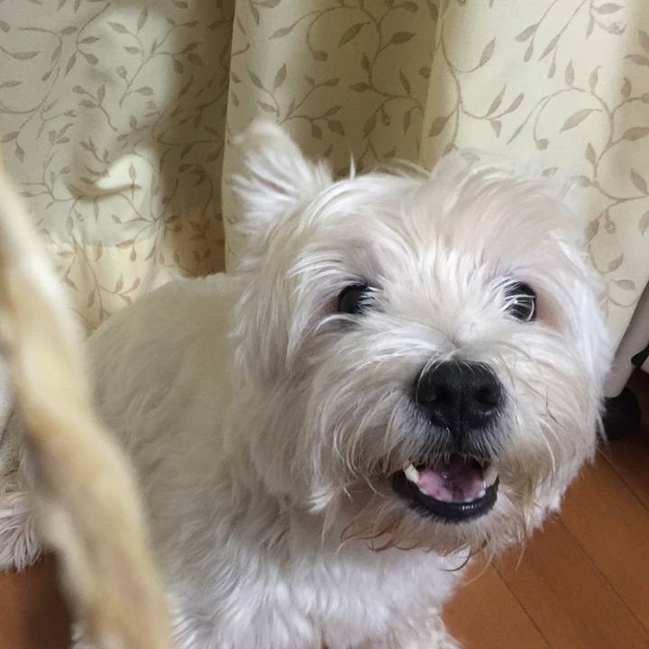 9916aab0 17fd 4a64 a3df 0e9303e0fc0d